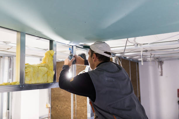 Best Insulation Installation Services in Navarre, OH